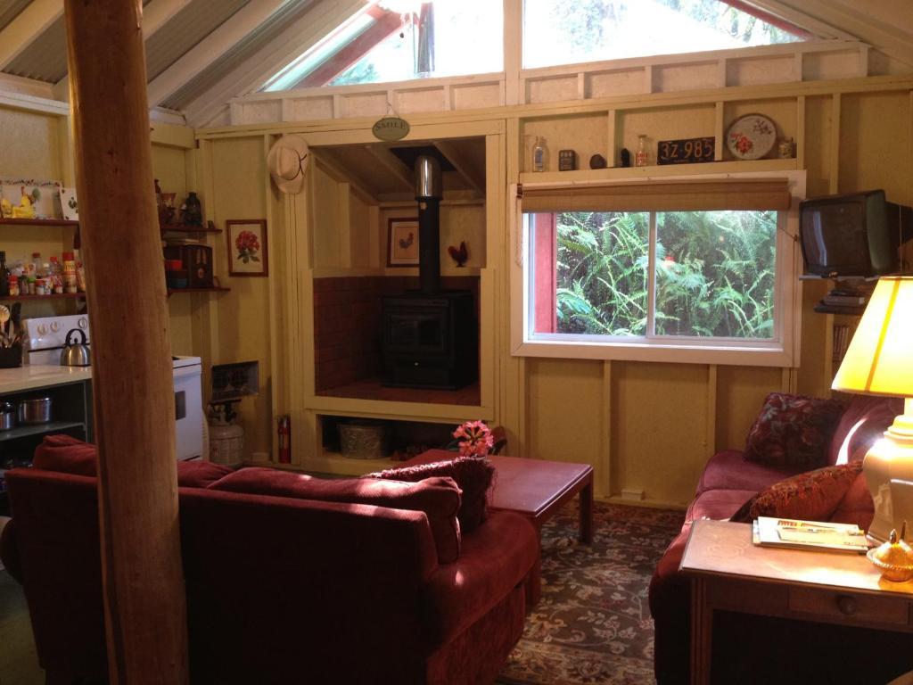 Carson'S Kaloko Mountain Cabin קאילואה-קונה חדר תמונה