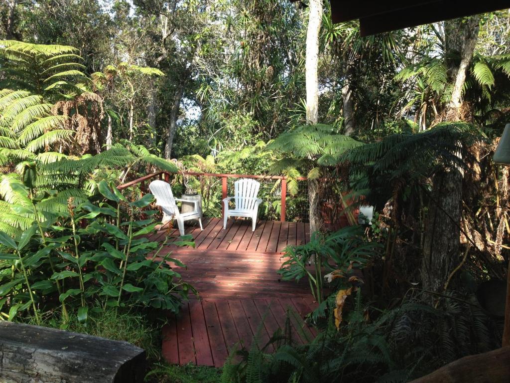 Carson'S Kaloko Mountain Cabin קאילואה-קונה מראה חיצוני תמונה