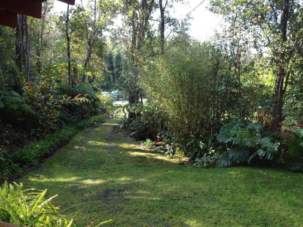 Carson'S Kaloko Mountain Cabin קאילואה-קונה מראה חיצוני תמונה