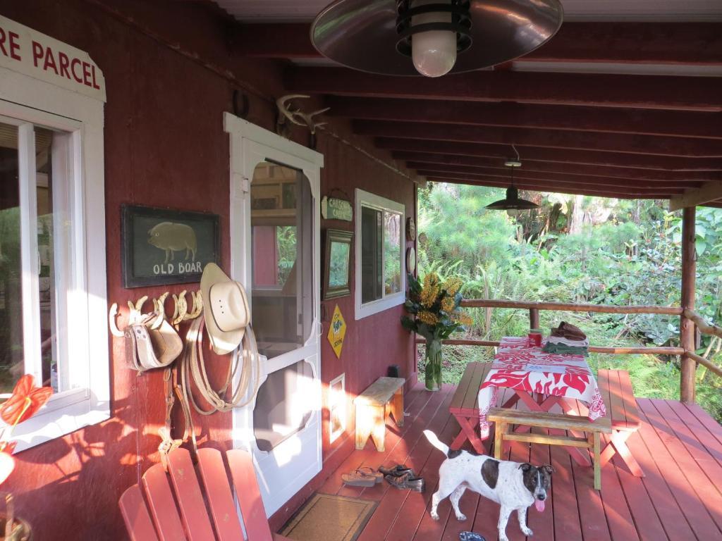 Carson'S Kaloko Mountain Cabin קאילואה-קונה חדר תמונה