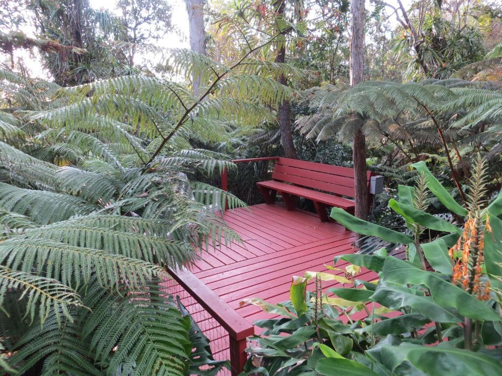 Carson'S Kaloko Mountain Cabin קאילואה-קונה חדר תמונה